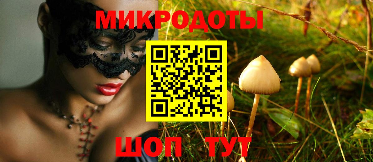 Галлюциногенные грибы ЛСД Димитровград
