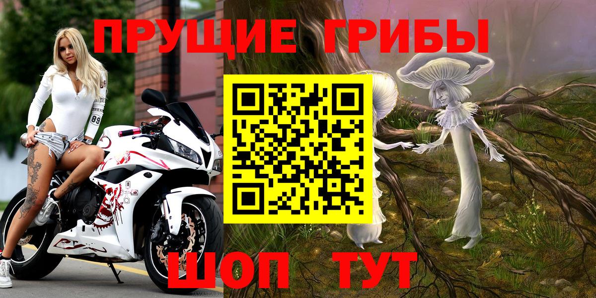 Димитровград  Псилоцибиновые грибы Psilocybine cubensis  Вход с VPN 